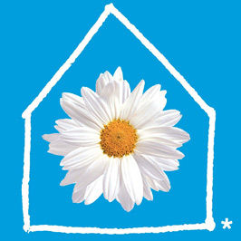 Body Shop's Stop violence in the home logo